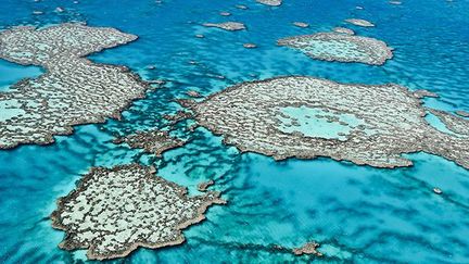 Vue aérienne de la Grande barrière de corail, au large des côtes de Queensland, en Australie.  (AFP PHOTO / Institut australien des sciences marines)