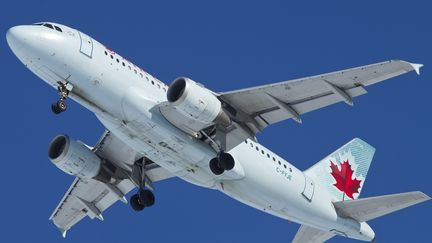 Un avion de la compagnie Air Canada s'appr&ecirc;te &agrave; atterrir &agrave; Edmonton (Canada), le 8 avril 2013. (IAN KUCERAK / EDMONTON SUN/QMI AGENCY / AFP)