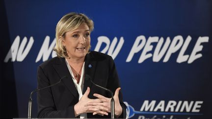 La présidente du Front National, Marine Le Pen, à Paris le 4 janvier 2017. (ALAIN JOCARD / AFP)