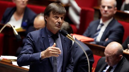 Nicolas Hulot à l'Assemblée nationale, à Paris, le 25 octobre 2017. (THOMAS SAMSON / AFP)