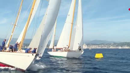 Dans la baie de Cannes (Alpes-Maritimes) se tient le plus grand rassemblement de voiliers au monde. (France 2)