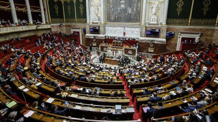 L'hémicycle de l'Assemblée nationale, le 14 novembre 2018. (MAXPPP)