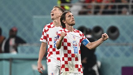 Luka Modric célèbre la victoire de la Croatie contre le Maroc lors de la petite finale de la Coupe du monde, à Doha (Qatar), le 17 décembre 2022. (JEWEL SAMAD / AFP)