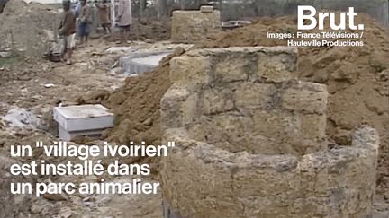 En 1994 près de Nantes, 25 hommes, femmes et enfants sont amenés de Côte d'Ivoire pour vivre et se représenter au sein d'un zoo. Edith Lago était danseuse au Safari Parc. Elle témoigne dans le documentaire "Le village de Bamboula".