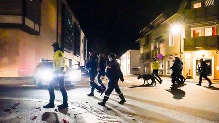 Mercredi 13 octobre, en soirée, dans la petite ville de Kongsberg, en Norvège, un homme de 37 ans a tué cinq personnes avec un arc et des flèches. Il était soupçonné de radicalisation. (CAPTURE D'ÉCRAN FRANCE 3)