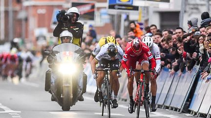 Le sprint final de la course belge Gand-Wevelgem, où un coureur est mort, percuté par une moto suiveuse, le 27 mars 2016. (LUC CLAESSEN / BELGA MAG / AFP)