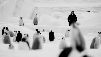 Le réalisateur Luc Jacquet, dans son documentaire "Voyage au pôle sud". (MEMENTO DISTRIBUTION)