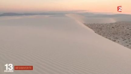 Découverte : le désert blanc du Nouveau-Mexique