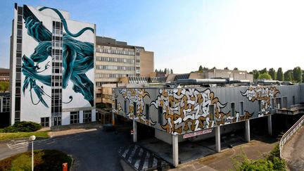 Le site de We Art Urban à Lagny-sur-Marne avec la fresque en bleu et noir de Panterio et les spaghettis de Legz au premier plan.
 (Nicolas Gzeley)