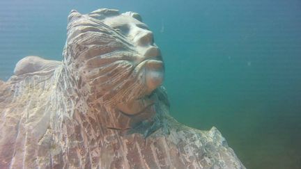 Une des statues immergées prise en photo par Greenpeace et publiée sur la page Facebook de La Casa dei Pesci. (DR)