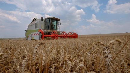 Une exploitation agricole à Sebourg (Nord), le 25 juillet 2018.&nbsp; (1 / MAXPPP)