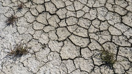 La lagune asséchée de Villacanas, en Espagne, le 7 août 2023. (OSCAR DEL POZO / AFP)