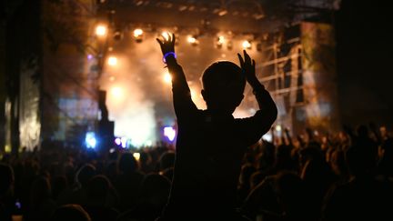 Le festival Le Jardin du Michel à Toul (Meurthe-et-Moselle), le 4 septembre 2021. (ALEXANDRE MARCHI / MAXPPP)