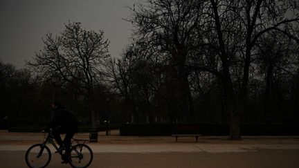 La route&nbsp;du parc du Retiro à Madrid, recouverte de sable du Sahara, le 15 mars 2022. (GABRIEL BOUYS / AFP)