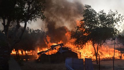 Des heurts ont opposé la police aux membres d'une secte indienne à Mathura, dans le nord du pays, jeudi 2 juin 2016.