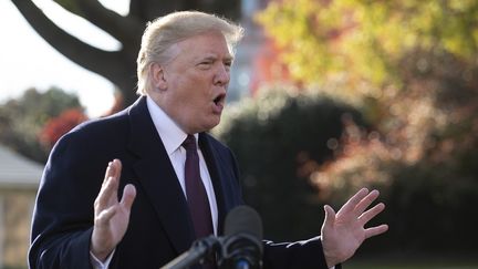 Donald Trump s'exprime devant les médias, le 20 novembre 2018, à&nbsp;Washington. (JIM WATSON / AFP)