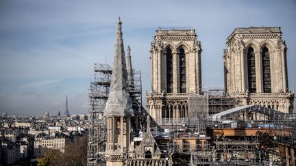 Cathédrale Notre-Dame : le point sur des travaux qui avancent bien