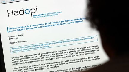 Une page internet de La Haute autorité pour la diffusion des oeuvres et la protection des droits sur internet (Hadopi)
 (THOMAS COEX/AFP)