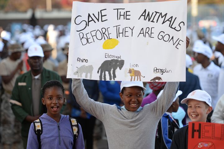 Des enfants portent une pancarte engageant à "sauver les animaux avant qu'ils ne disparaissent" au cours d'une marche mondiale en faveur des éléphants, rhinocéros et lions à Gaborone, la capitale du Botswana, le 7 octobre 2017. (MONIRUL BHUIYAN / AFP)