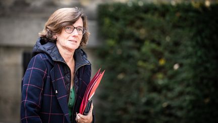 La ministre déléguée chargée de l'Organisation territoriale et des Professions de santé Agnès Firmin Le Bodo à Paris le 20 novembre 2023. (XOSE BOUZAS / HANS LUCAS)