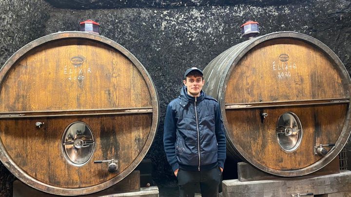 Emile Coddens, jeune vigneron de 24 ans chez Plou et fils (Chargé), démocratise le vin sur Tiktok et dans son livre&nbsp;Le vin, ça se partage ! (THEO UHART / FRANCEINFO)