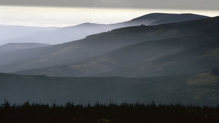 Une pi&egrave;ce secr&egrave;te a &eacute;t&eacute; d&eacute;couverte &agrave; 50 m&egrave;tres sous les monts M&eacute;tallif&egrave;res,&nbsp;&agrave; la fronti&egrave;re de l'Allemagne et de la R&eacute;publique tch&egrave;que. (WOLFGANG KUNZ / AFP)