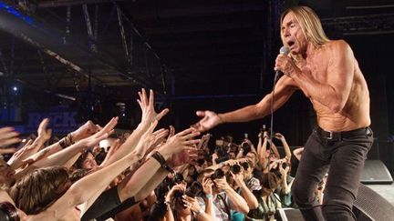 Iggy Pop en concert à Moscou (5/8/2010)
 (AFP / Iliya Pitalev / Ria Novosti)