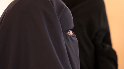 &nbsp; (Femme portant le niqab©MAXPPP)