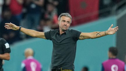 Luis Enrique, le sélectionneur espagnol, lors du match Maroc-Espagne, mardi 6 décembre à l'Education City Stadium. (AYMAN AREF / AFP)