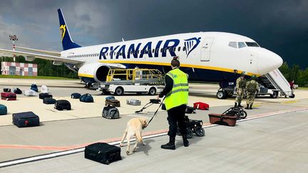 Un maître-chien biélorusse vérifie les bagages d'un Boeing 737-8AS de Ryanair stationné sur le tarmac de l'aéroport international de Minsk, le 23 mai 2021. (ONLINER.BY / AFP)