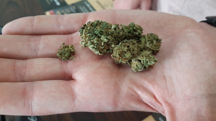 Un magasin de Nîmes dans le Gard propose des produits à base de cannabis CBD, juin 2019. (SYLVIE DUCHESNE / RADIOFRANCE)