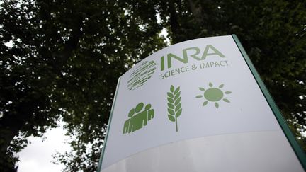 L'institut national de recherche agronomique (Inra), le 23 juin 2015 à Jouy-en-Josas (Yvelines).&nbsp; (THOMAS SAMSON / AFP)