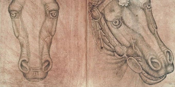 Deux têtes de cheval de Antonio Puccio dit Pisanello 1395-1450
 (Louvre)