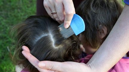 Peigne anti-poux passé sur une tête d'enfant. (THE SYDNEY MORNING HERALD / FAIRFAX MEDIA)