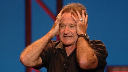 Robin Williams sur scène en Virginie en 2009.
 (Jeff Moore / Nurphoto / AFP)