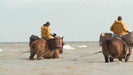 Cette pratique, inscrite au patrimoine mondial de l'Unesco, a traversé les époques. De quoi faire rêver les touristes de passage. (FRANCE 3)