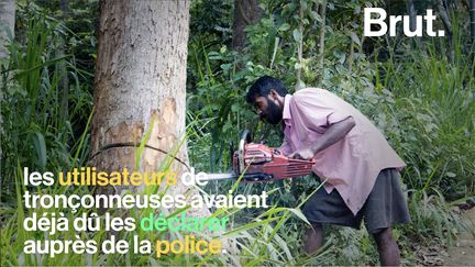 Maithripala Sirisena, le président sri lankais, a mis en place des mesures drastiques pour mettre un terme à l'exploitation illégale de la forêt.