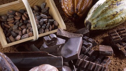 Selon les chercheurs de l'Alliance des pays producteurs de cacao, le&nbsp;vieillissement des vergers et les effets du changement climatique menacent le cacao dans le monde. (MOND'IMAGE / TIPS / PHOTONONSTOP / AFP)