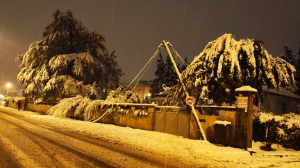 Une ligne électrique a ployé sous le poids de la neige à Romans-sur-Isère, 15 novembre 2019. (NELLY SORBIER / RADIO FRANCE)