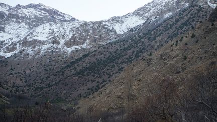 Deux jeunes touristes, une Danoise et une Norvégienne, ont été retrouvées mortes dans une zone montagneuse du sud du Maroc, à deux heures du village d'Imlil, le 17 décembre 2018.&nbsp; (FADEL SENNA / AFP)