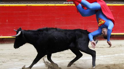 Un nain d&eacute;guis&eacute; en Superman combat un taurillon &agrave; Medellin (Colombie), le 19 f&eacute;vrier 2012. (ALBEIRO LOPERA / REUTERS)