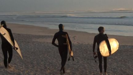 Afrique du Sud : des surfeurs adoptent les planches en bois