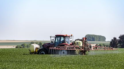 Une étude de l'Inserm révèle que certains fongicides, pulvérisés comme ici par un tracteur sur&nbsp;un champ, seraient&nbsp;toxiques pour l'Homme. (JEAN-MARC QUINET / BELGA MAG)