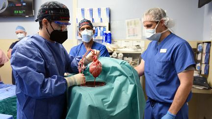 Des chirurgiens de la faculté de médecine&nbsp;du Maryland s'apprêtent à greffer un&nbsp;cœur de porc sur un humain, le 10 janvier 2022. (- / UNIVERSITY OF MARYLAND SCHOOL OF / AFP)