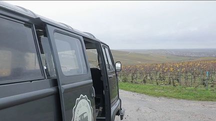 En Champagne,&nbsp;Maëva Garza et son frère, tous deux passionnés de la région, proposent des visites des vignobles aux touristes. (CAPTURE ECRAN FRANCE 2)