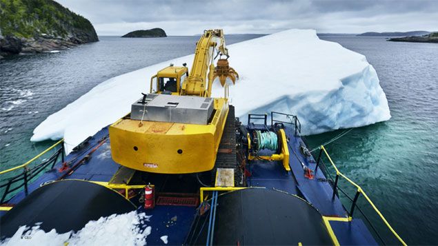 &nbsp; (L'énorme proie est enfin ferrée. Reste à déchiqueter le bloc de glace  © Géo / Véronique de Viguerie)