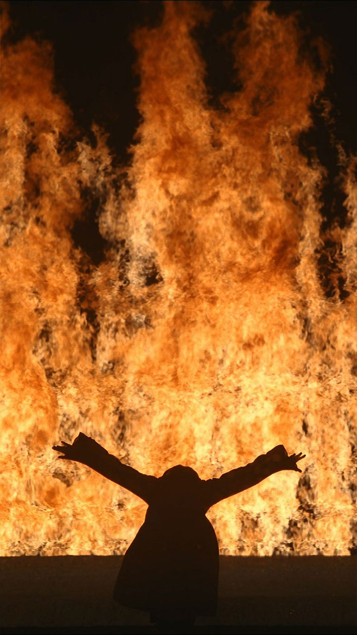 Bill Viola, Fire Woman, 2005, Projection vidéo couleurs haute définition, performeuse : Robin Bonaccorsi, collection particulière
 (Kira Perov)