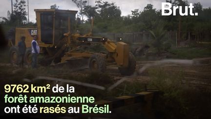 Une période qui correspond à l'arrivée au pouvoir de Jair Bolsonaro. Et pour Greenpeace France, ce n'est pas une coïncidence.