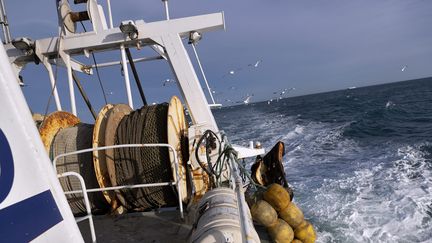 Un chalutier à Sète (Hérault), le 29 janvier 2021. (MAXPPP)