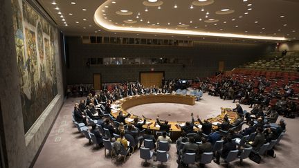 Le Conseil de sécurité de l'ONU lors du vote d'une résolution sur un cessez-le-feu en Syrie, le 24 février 2018, à New York (Etats-Unis). (DON EMMERT / AFP)